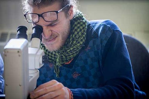 person with glasses lifted off their eyes to peer into a microscope